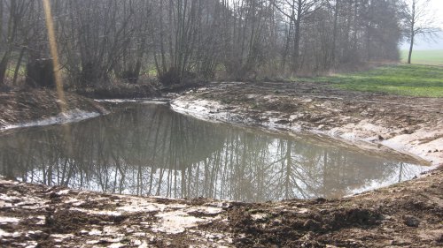 ... für den Schwarzstorch: Flachwasserteich am Rahlbach