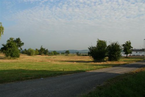 Blick auf das zuküftige Baugebiet von SO